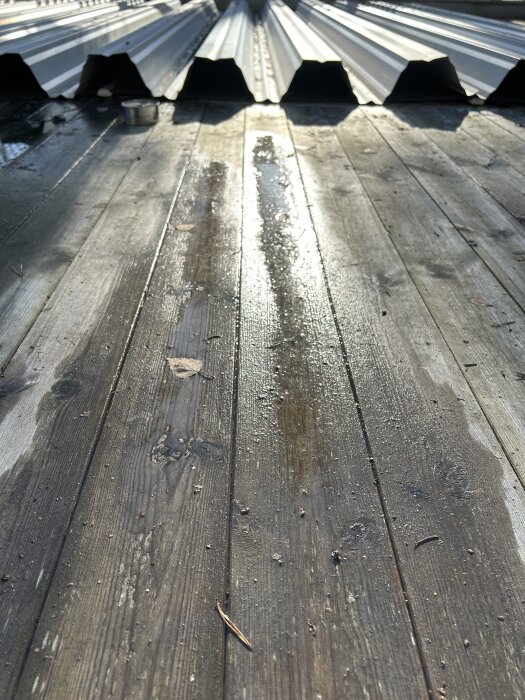 Våt trätrall med solreflektion och böljat plåttak i bakgrunden.