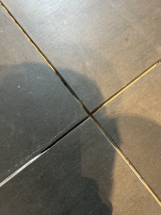 IMG_7882.jpeg