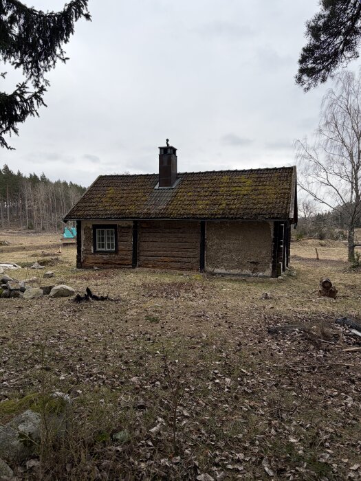 Gammalt timmerhus med mossa på taket, omgiven av gräsmatta och träd, planerad för omvandling till pergola med utekök.