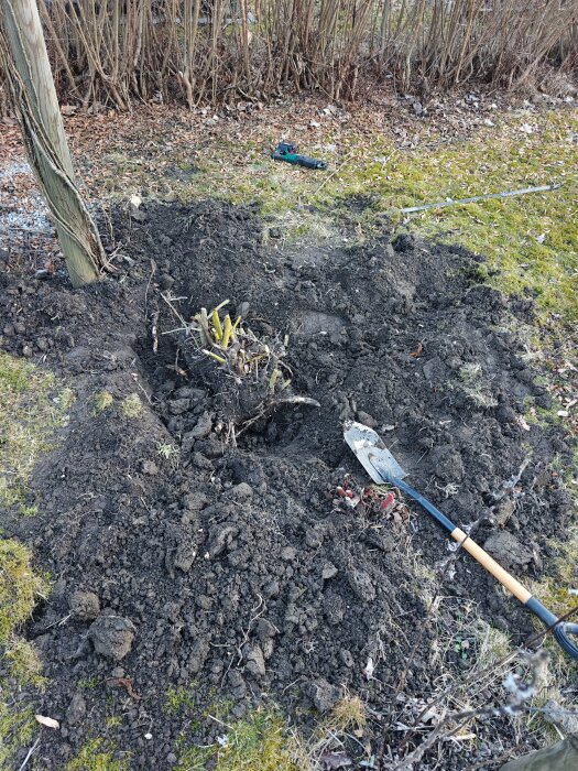 En grävd grop i en trädgård med en spade bredvid, omgiven av jord och växter.