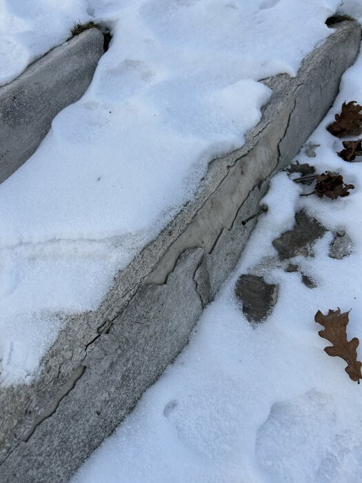 Sprucken trappa täckt av snö, omgiven av bruna löv och synlig betongskada.