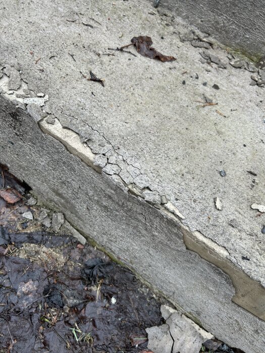 Trappa med sprucken och flagande cementyta efter vintern, omgiven av blöta löv och ruttna kvistar.