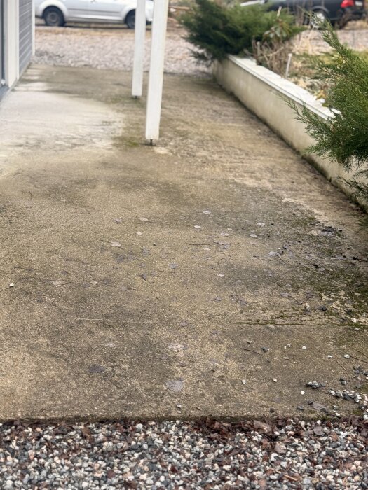 Ojämn betongyta utomhus med smuts och mossa, belägen vid ett hus; omgiven av grus och växtlighet.