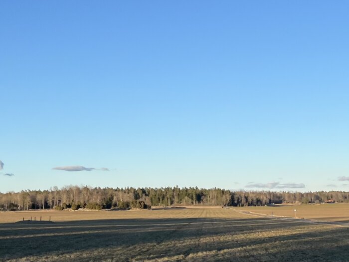 Öppet fält med kort gräs under klarblå himmel, en skog i bakgrunden, och några få moln i horisonten.