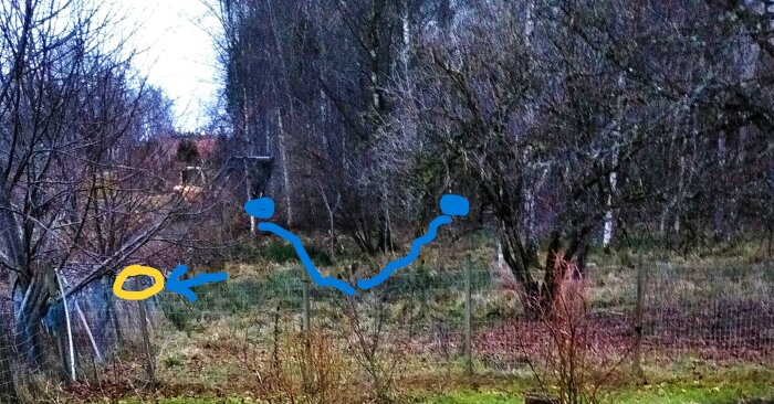 Skogsområde med lutande staket, omgiven av träd. Blå linje och markerade punkter ovanför stängslet.