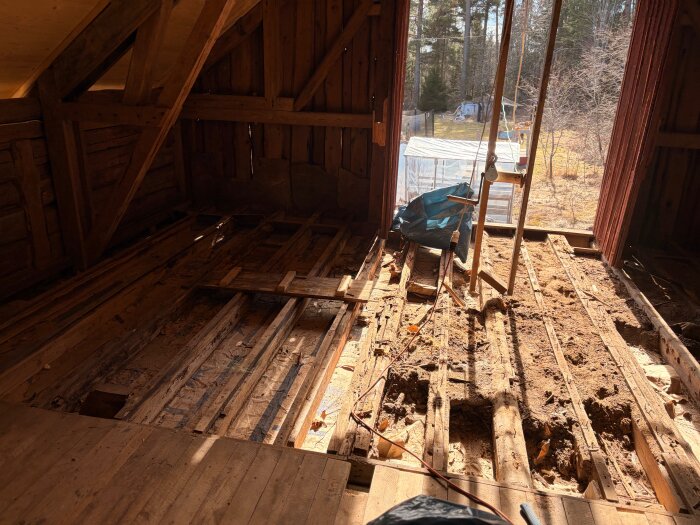 Gammalt träplankgolv i lada under renovering, delvis rivet med borttagen isolering, där solen lyser igenom sprickorna.