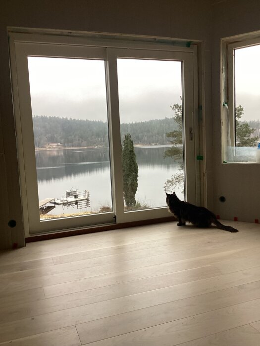 Ett rum med trägolv, en katt som tittar ut genom stora glasdörrar mot en sjö och skog i bakgrunden.