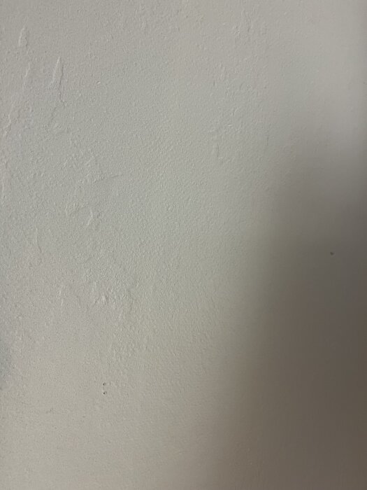 En avskalad vägg i en källare med ojämn yta synlig efter att panel tagits bort.