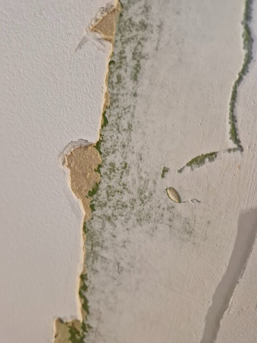 Vägg med avskavd färg som visar gröna och beige lager under, eventuellt spackel.