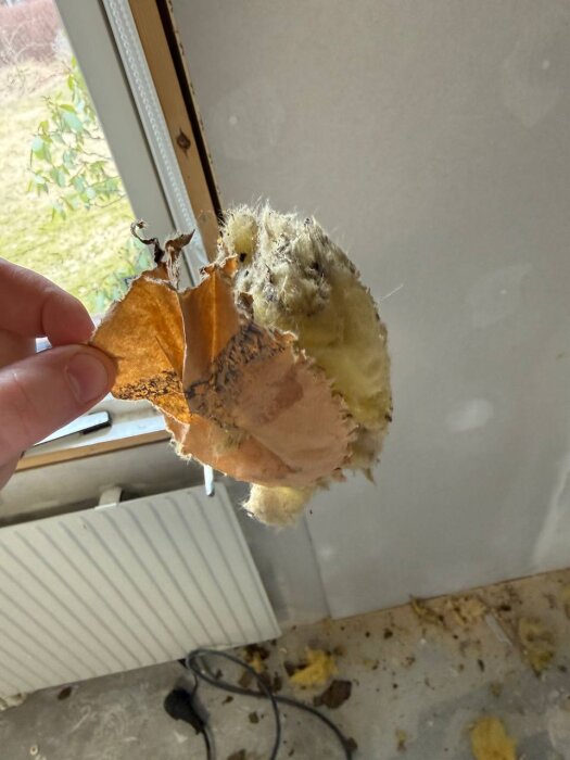 En hand håller ett stycke brunt material med guldfärgade fibrer, fotograferat inomhus nära ett fönster.