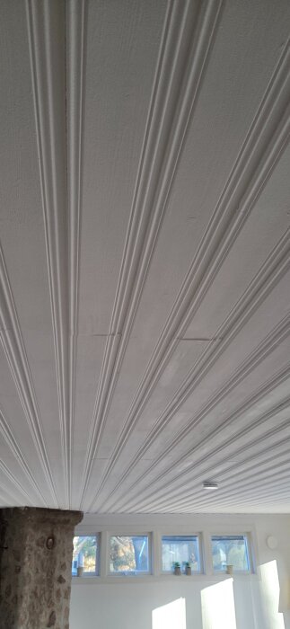 20260322_171617.jpg