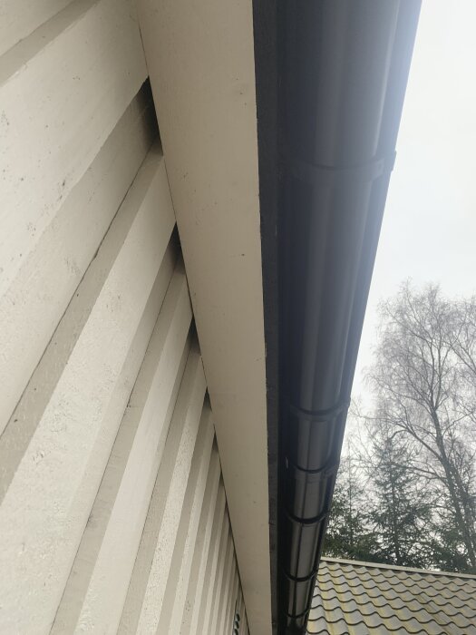 Närbild på ett hus med vit fasad och en takränna, där takfoten inte täcks av brädor, vilket kan släppa in fåglar och insekter.