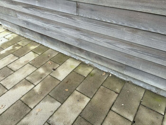 Fasad av träpanel med skadad sockelputs ovan trottoar av stenplattor. Lätt åverkan syns på sockeln, troligen påverkad av väder och myror.