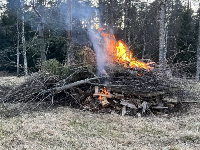 Brasa av grenar och ris brinner på en åkerkant med skog i bakgrunden. Eldslågor och rök syns tydligt i bilden.