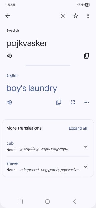 Skärmdump av Google Translate där 'pojkvasker' översätts till 'boy's laundry', vilket ger komiska felöversättningar.