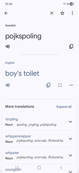 Google Translate-översättning visar svenska ordet "pojkspoling" felaktigt översatt till "boy's toilet" på engelska, med fler översättningar listade.