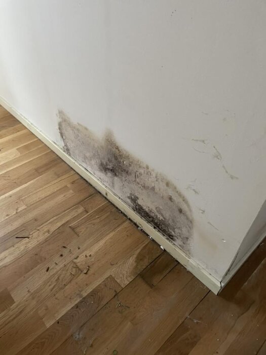 Fuktskador vägg.jpg