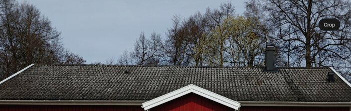 Tak med grönpåväxt på tegelpannor, mars 2025. Lt yttork ändrat litet under året.