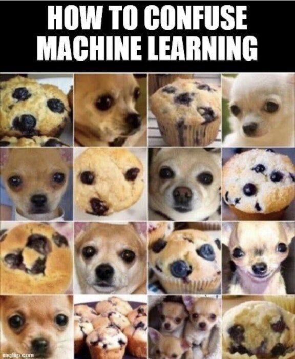 Meme med texten "How to confuse machine learning" och bilder av muffins och hundar som liknar varandra, arrangerade i ett rutnät.