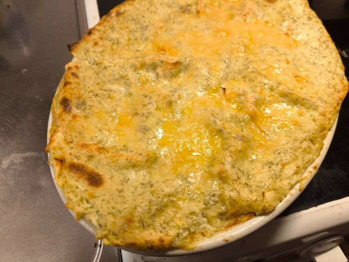 Hemlagad laxlasagne med dill och Västerbottensost i en ugnsform, gyllenbrunt gratinerad ost ovanpå.