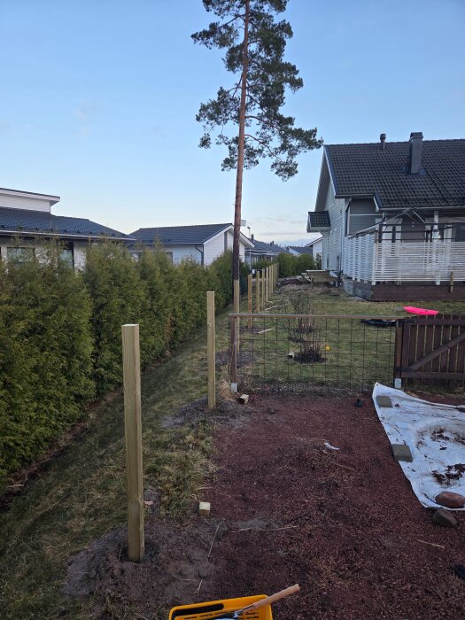 Stolpar uppställda i rad för staketbygge längs en häck i en trädgård, med verktyg och material på marken.