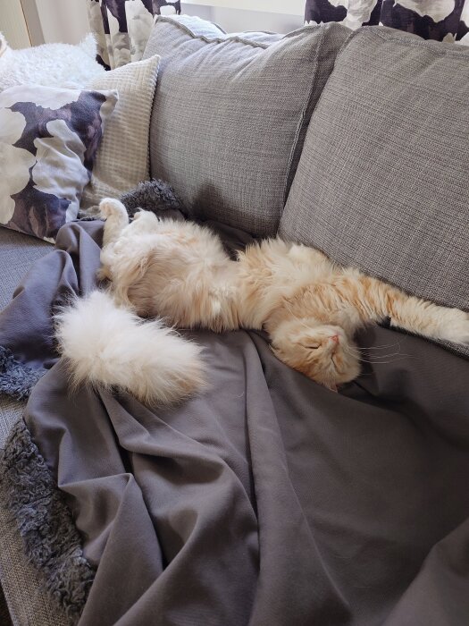 En fluffig katt vilar på en soffa täckt med filtar och kuddar. Den är utsträckt med tassarna mot kanten och ser avslappnad ut.