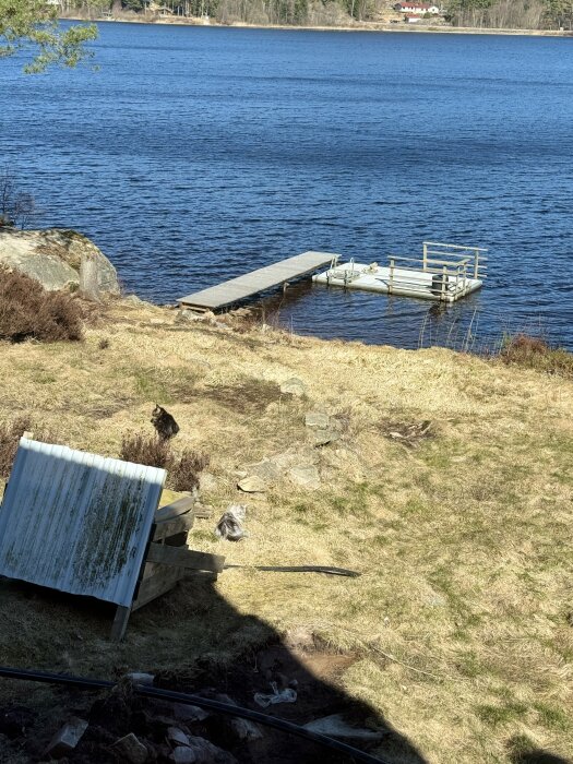 Brygga med flytbrygga vid sjö, två katter på gräsmatta i förgrunden, träskjul bredvid, solbelyst scen.