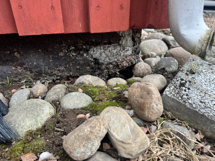 Mörkt skyddsmaterial som vittrat bort från husgrund, omgiven av stenar och mossa under ett rött träväggshörn, nära en stuprörsanslutning.
