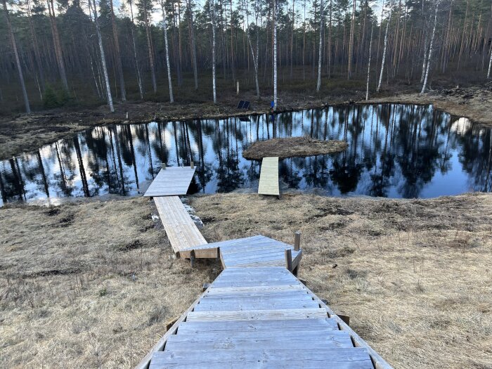 Träbro över en spegelblank damm i skogslandskap med träd i bakgrunden.
