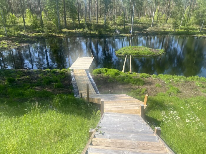 Bro av träplankor går över en å till en liten ö, omgiven av grönska och skog. Reflektioner av träd syns i vattnet.