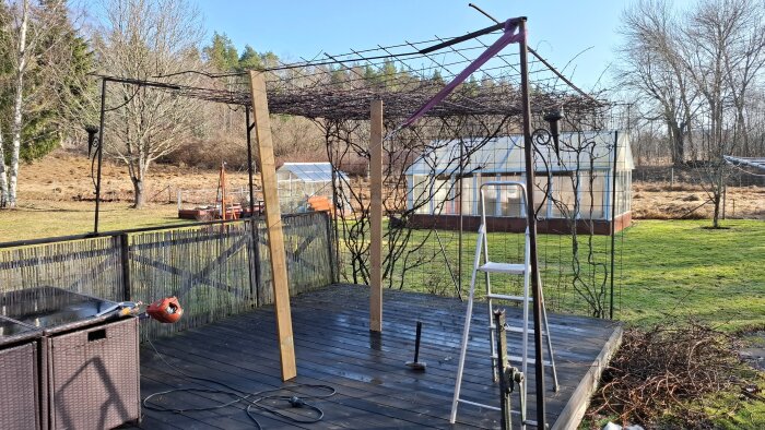 Pergola under konstruktion på träaltan med stege och verktyg, inkl. hammare. Växthus och gräs i bakgrunden, omgiven av träd och buskar.