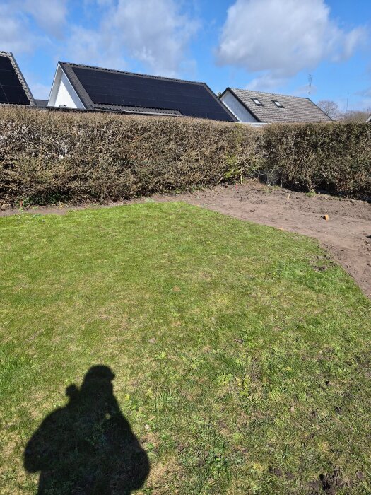 Gräsmatta med en jordplätt och en häck i bakgrunden framför hus med solpaneler på taken.