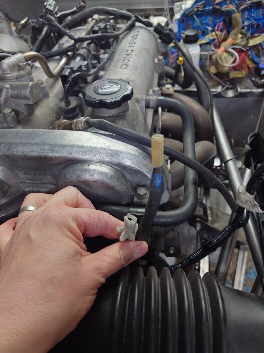Hand håller vita och ljusgula elkontakter i en motor på en Mazda Miata 2002. Den vita kontakten har svart kabel med gult streck, ljusgula brun kabel.