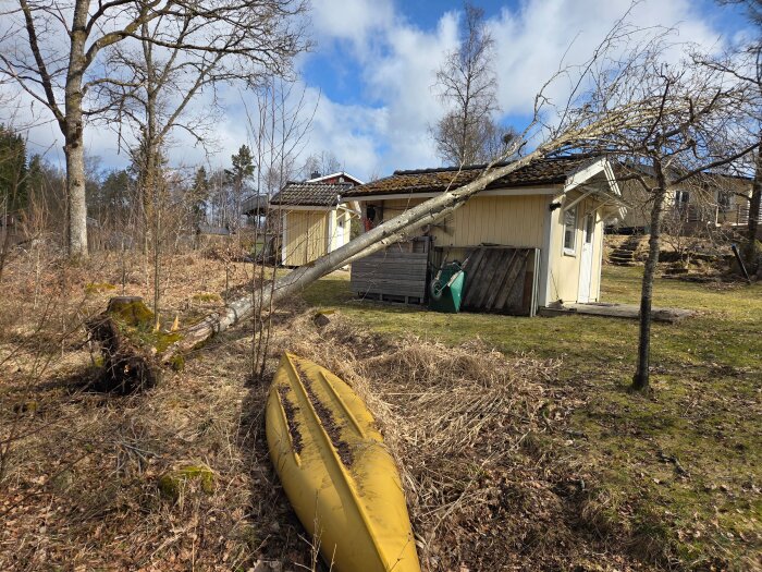 Ett träd har fallit över en gäststuga i ett skogsområde, bredvid en gul kanot på marken.