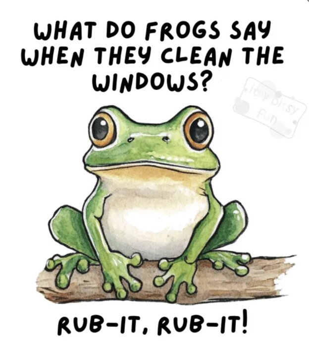 Tecknad groda på en gren med texten "What do frogs say when they clean the windows? Rub-it, rub-it!