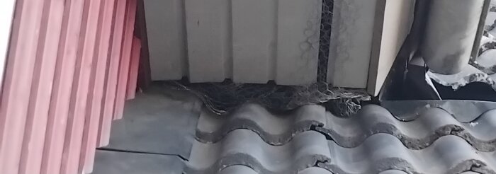 Tak med svarta takpannor och en vägg med röd panel. Tråd och nät syns mellan taket och väggen, troligen för att förhindra skadedjur.