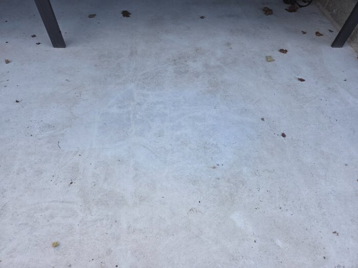 Betongplatta med fläckar och blad, slitage från torrboll synligt på ytan.