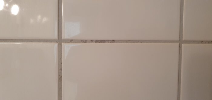 Missfärgade fogar på vita kakelplattor i badrummet. Fläckarna ser ut att sitta mitt på fogen, nära en ljusare kakellinje.