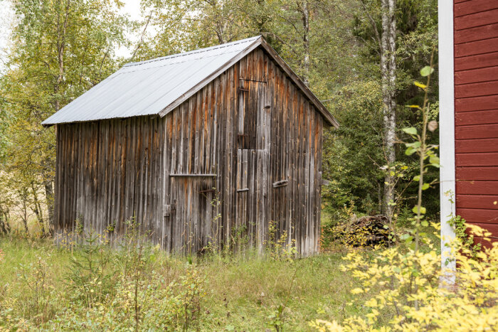 Tvåvånings vedbod från en släktgård, ca 200 år gammal, omålad trä, med kärnfuruens röd-gula toner. Står mitt i grön natur nära en röd byggnad.