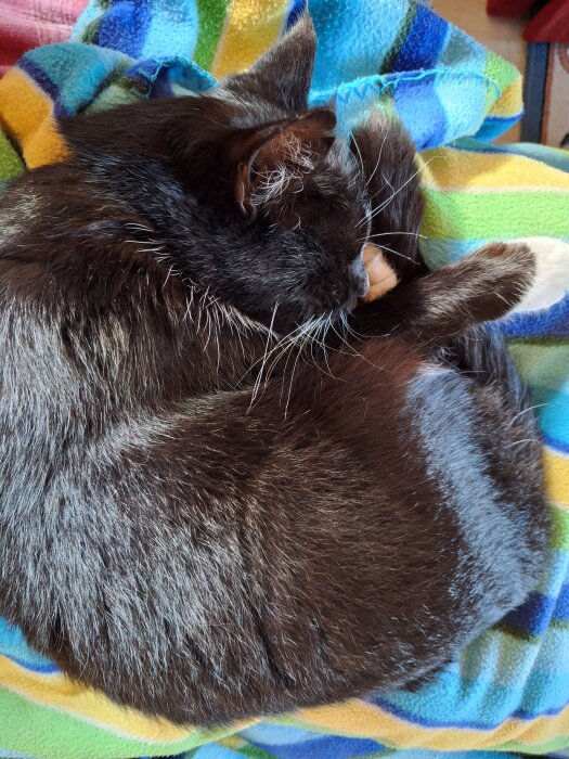 En svart katt sover hopkrupen på en flerfärgad filt.