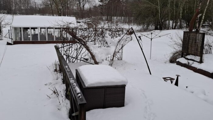 Snöig trädgård med växthus i bakgrunden, träd och buskar täckta av snö, samt en utemöbel med snötäcke i förgrunden.