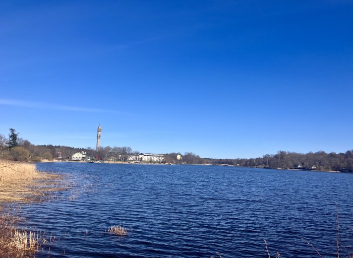 Sjön med blå himmel, ett torn syns i bakgrunden, omgiven av träd och vass längs strandkanten.