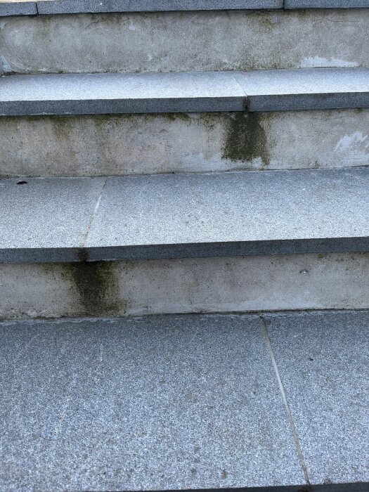 Betongtrappsteg med fläckar och missfärgningar av mögel eller alger.