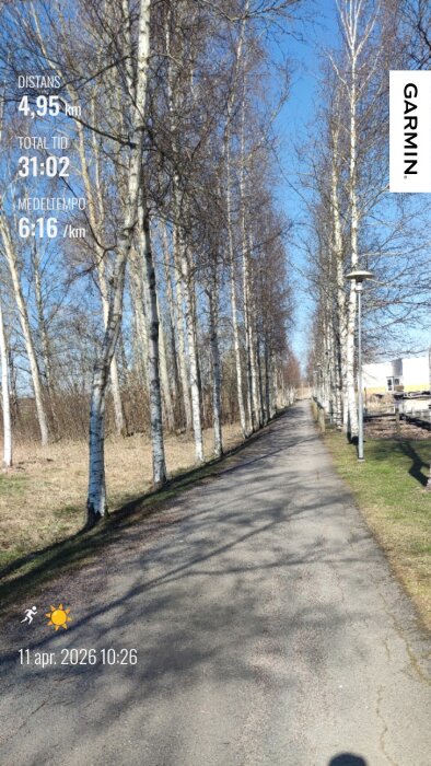 Gångväg kantad av björkar en solig dag, med statistik för löpning: 4,95 km distans, total tid 31:02, medeltempo 6:16/km, Garmin-logotyp.