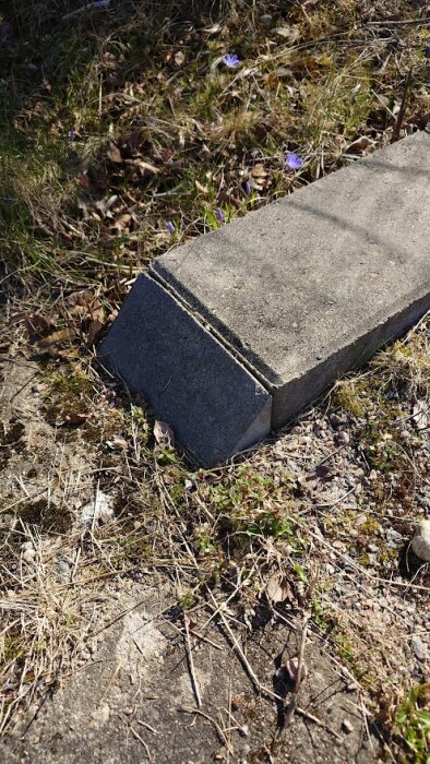 Snedskuren sten i slutet av en stenyta, omgiven av torrt gräs och jord.