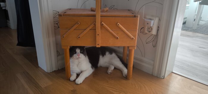 Katt ligger under ett litet träbord i ett rum med trägolv och vägguttag.
