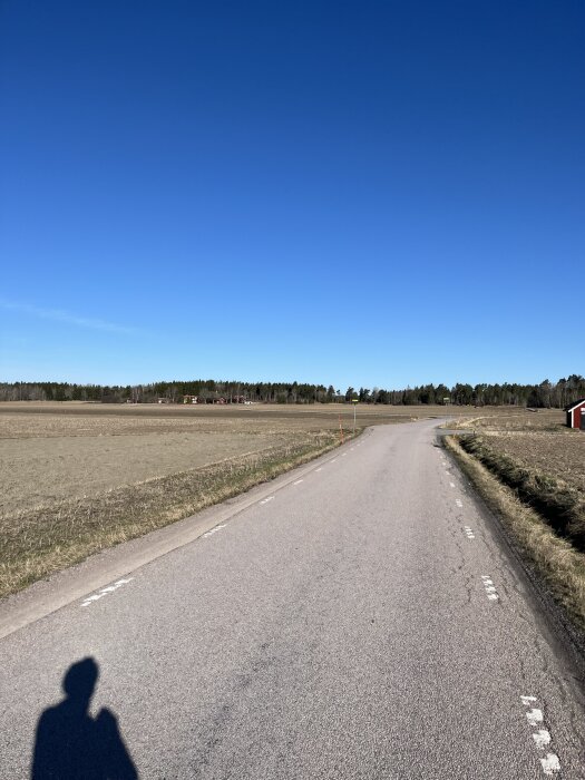 Landsväg som sträcker sig genom öppna fält med klarblå himmel och skog i fjärran, skugga av en person syns på vägen.