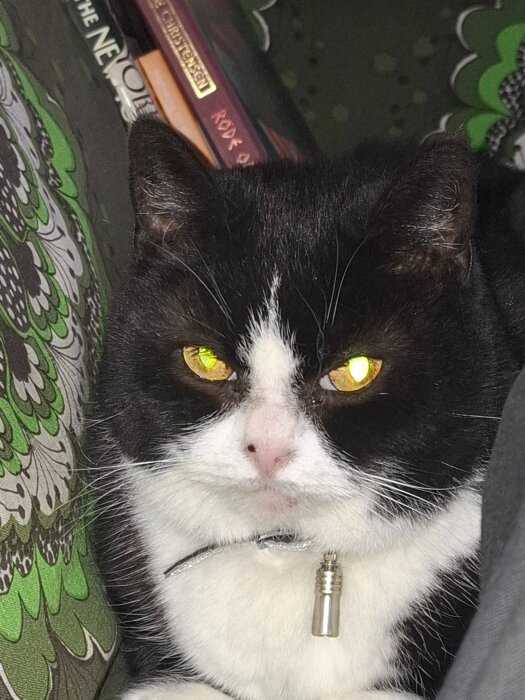 Svartvit katt med glödande ögon sitter på en mönstrad grön och vit kudde, omgiven av böcker i bakgrunden.