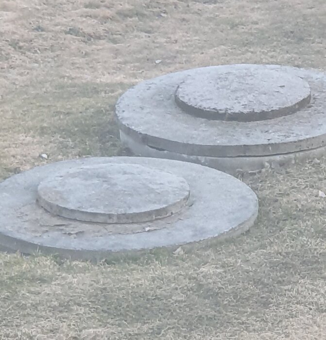 20260412_193507.jpg
