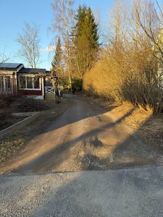 Grusad uppfart med ojämn yta och gräs på sidorna, omgiven av träd och buskar en solig dag.